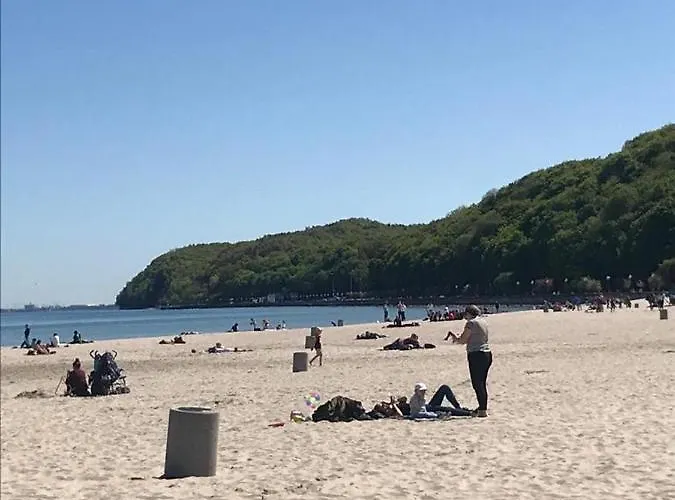 Centrum Msciwoja Daire